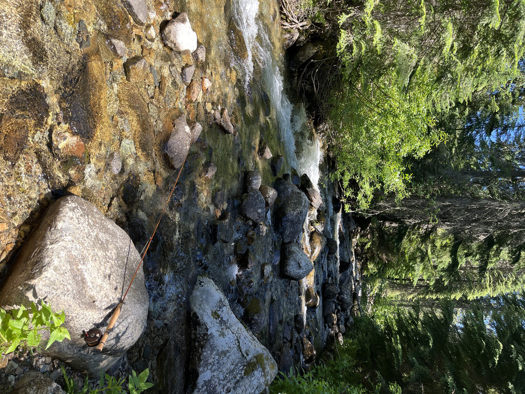 A23DF3DF-D6E1-43DE-9D15-89C6B12571D4