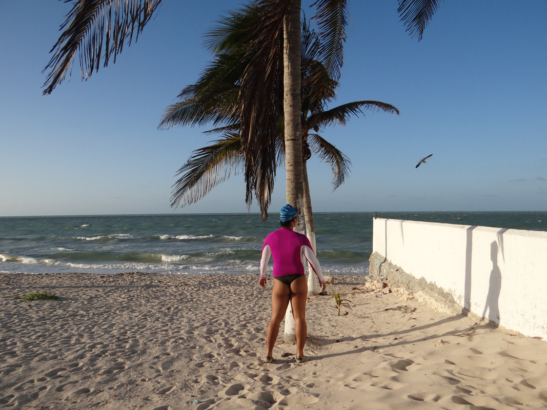 Un día en la playa en la tarde  - 20