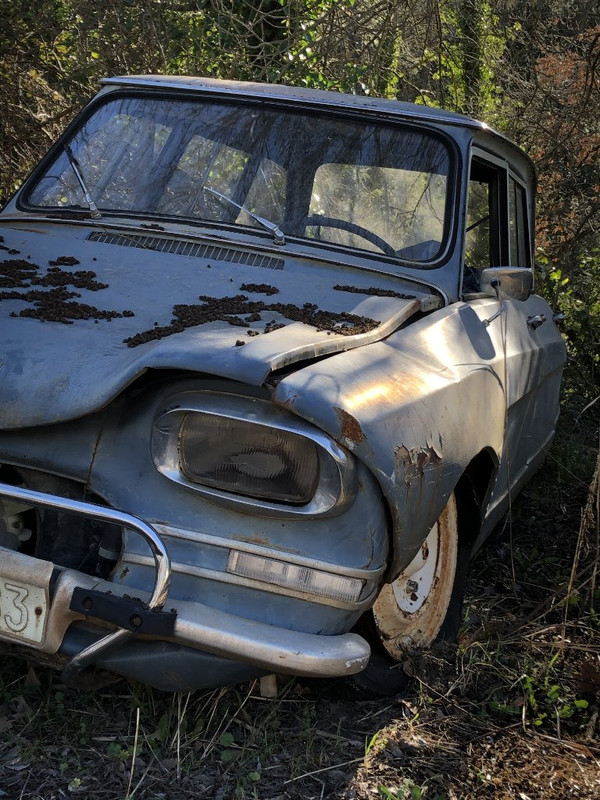 CB08CD7A-8D92-4DEE-8574-ECBFB81C0D57