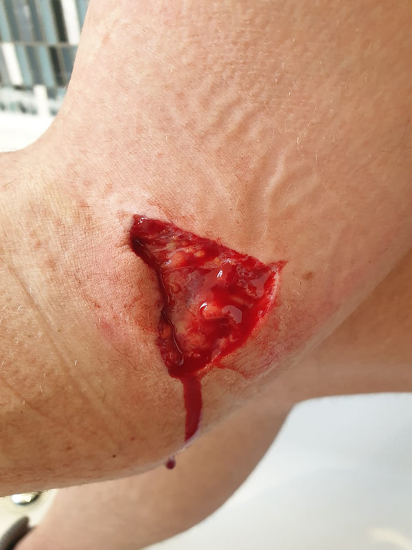 WhatsApp Image 2019-08-03 at 15.02.47 (2)