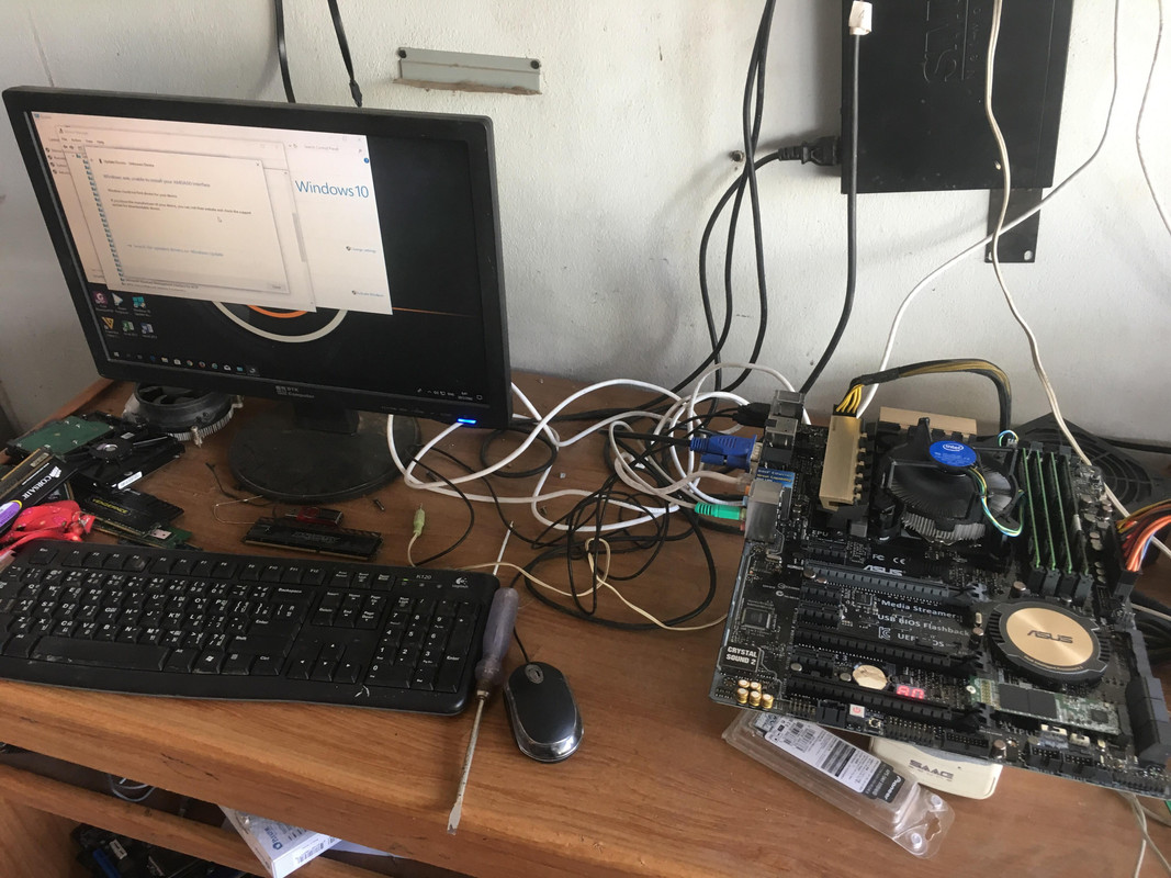 52536898_355452321719559_8521694777211617280_n