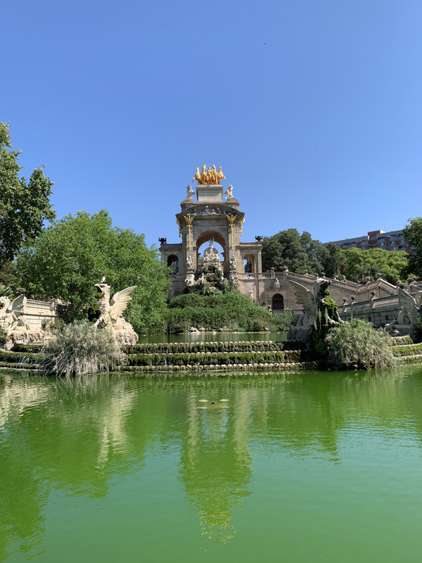 48A3110F-3B09-43A5-A55A-35EA635B0D75