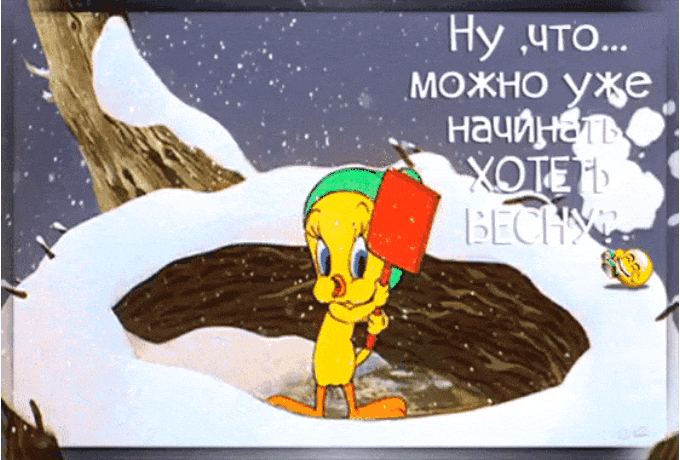 GIF-20250817-210725-606.gif