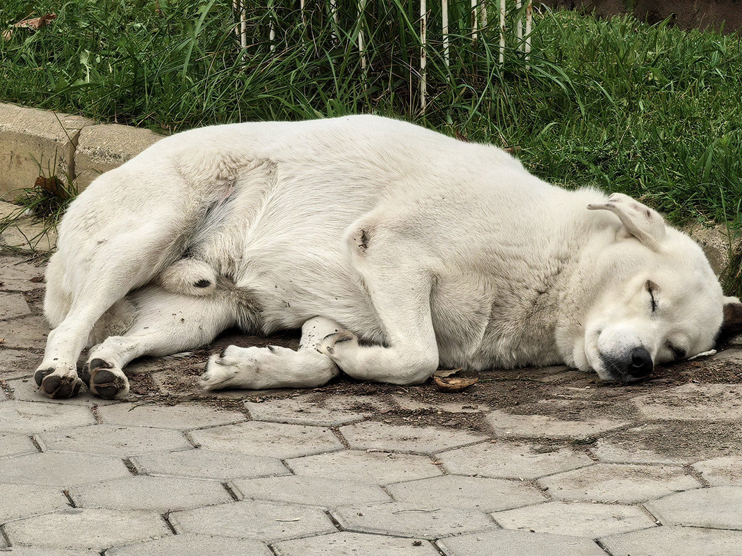 Октябрь уж наступил, 