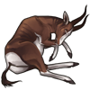 carcass-blesbok.png