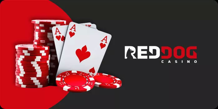 Trik Memainkan Casino Red Dog Sukses di Situs DORAHOKI