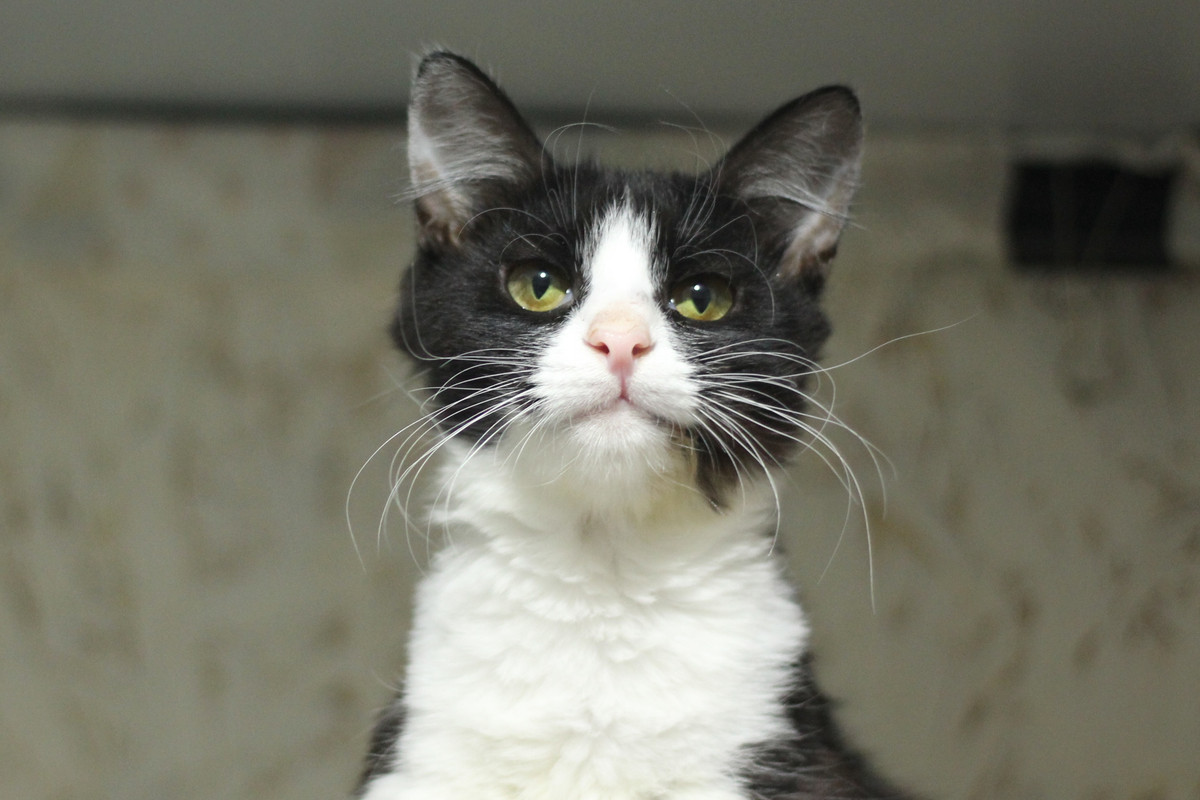 IMG_7246 — копия