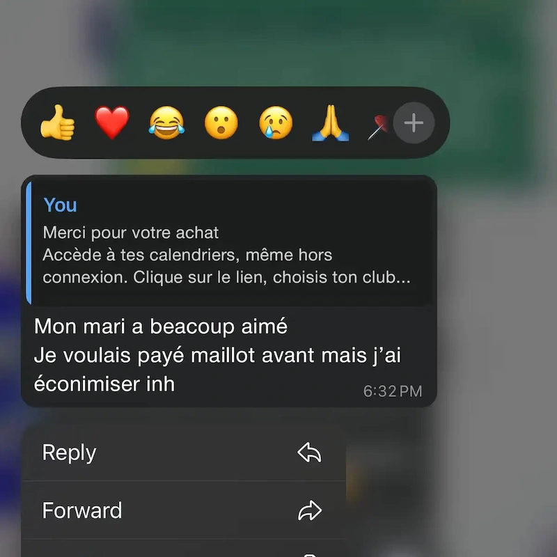 Conversation WhatsApp d'assistance à l'installation se terminant par une confirmation du client