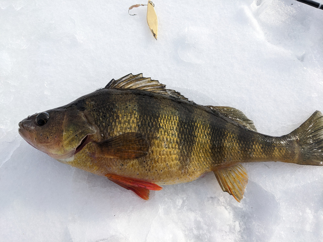 PXL_20250208_192236197