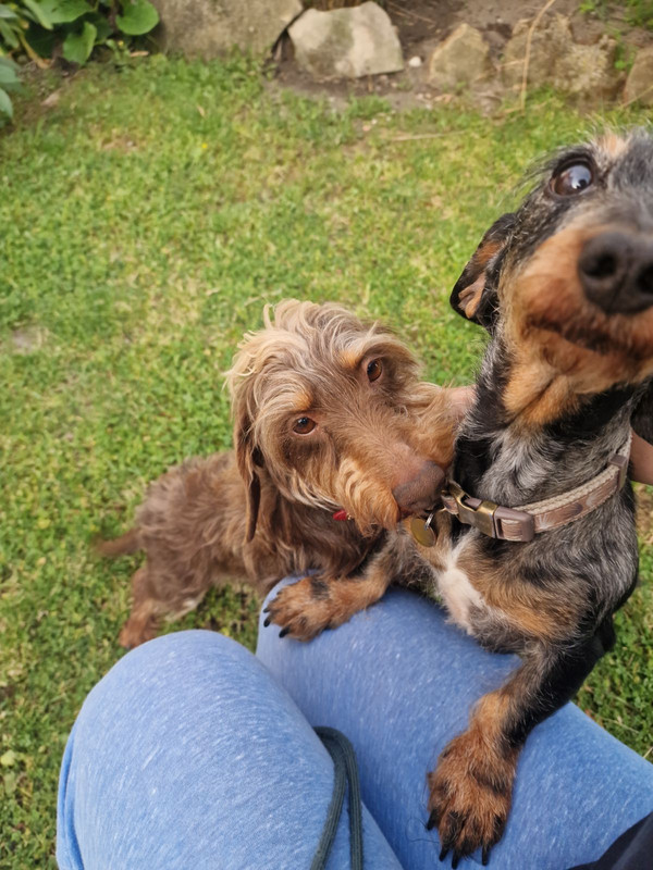 [Image: IMG-20250501-084727.jpg]