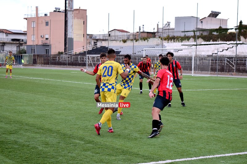 Thouria-DSC-0242