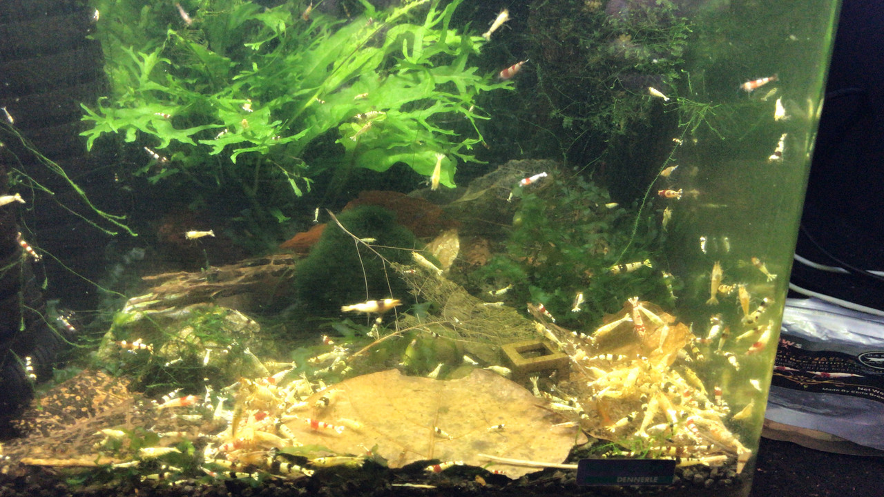 0B17A63D-7ED6-4AAA-8544-944D9C7C7AD9