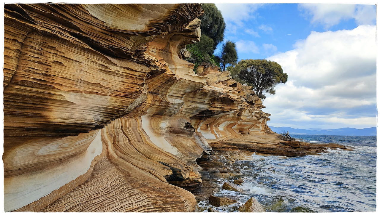 Australia (II): Recorriendo Tasmania - Blogs de Australia - Maria Island National Park (3)
