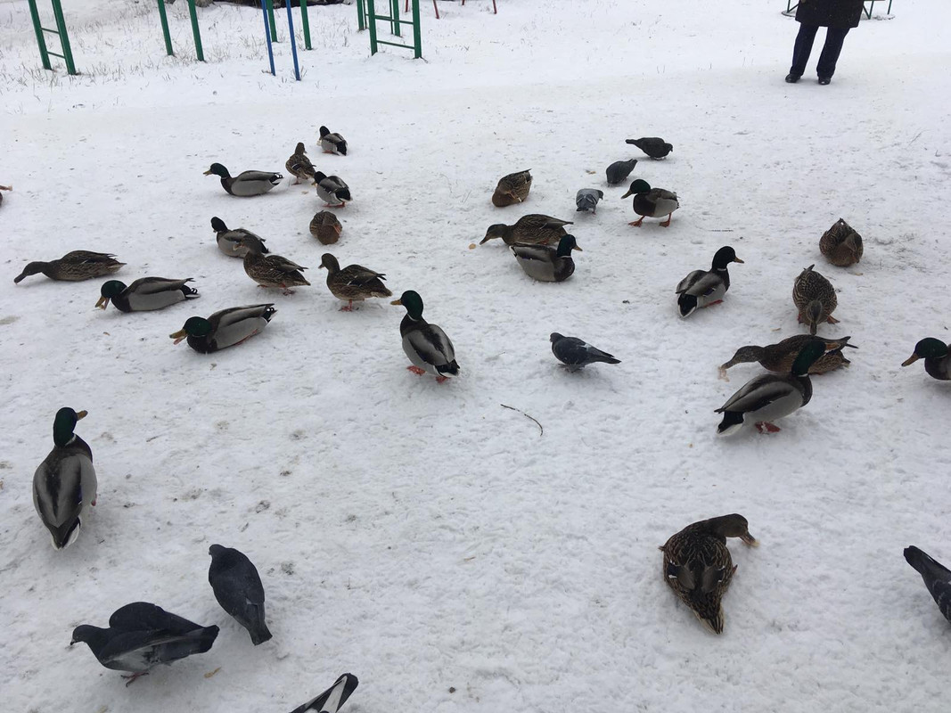 IMG-d4ee9ab59be6203a0234b1bc32e1bf53-V