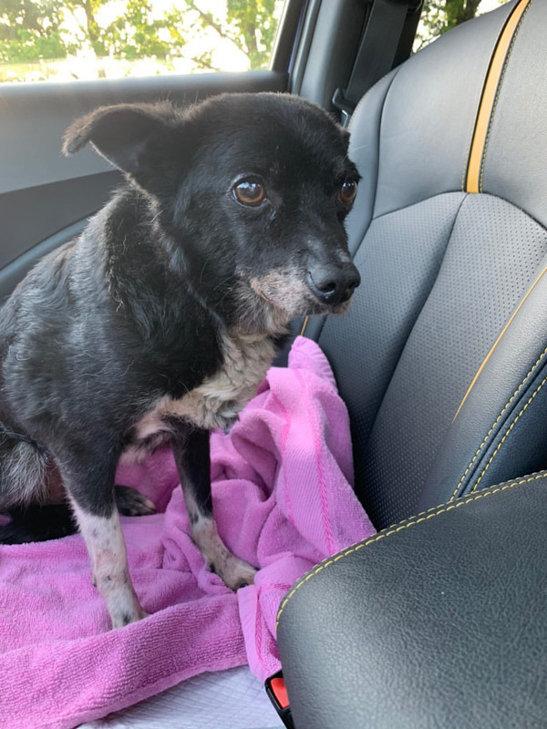 213AAB06-0019-4F6A-AE03-16EFF69E9A79