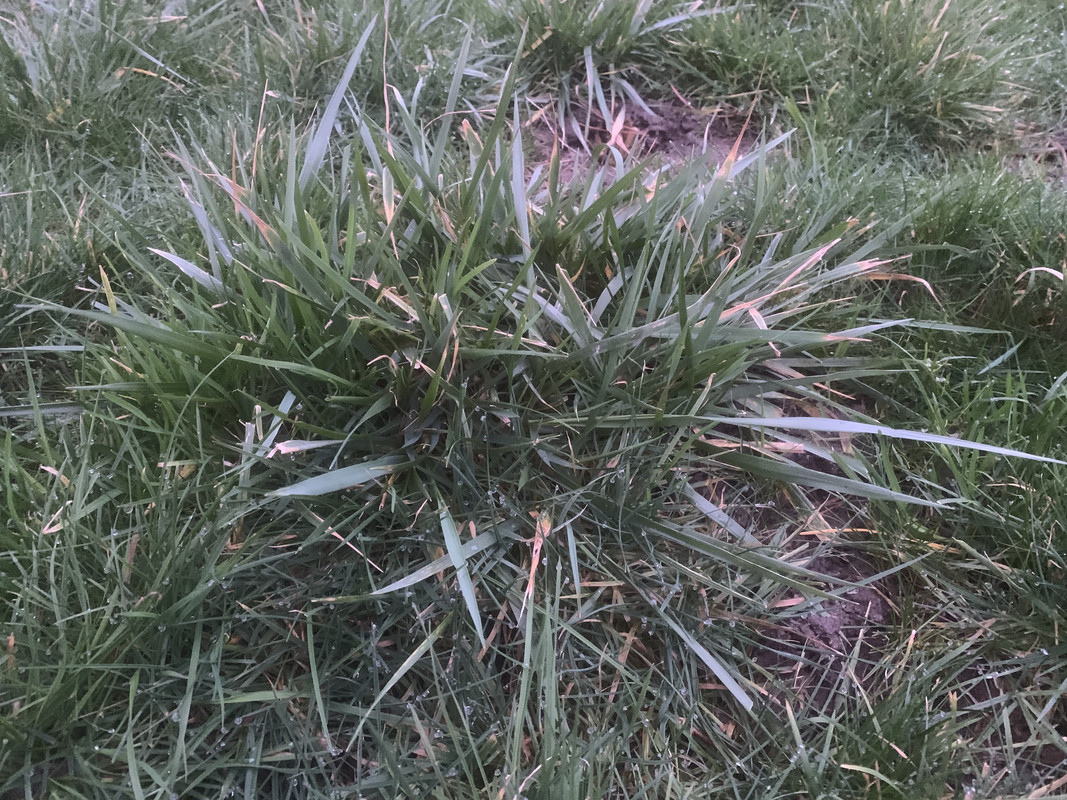 D448F1D5-2F10-4EA8-A675-A27B0A335866