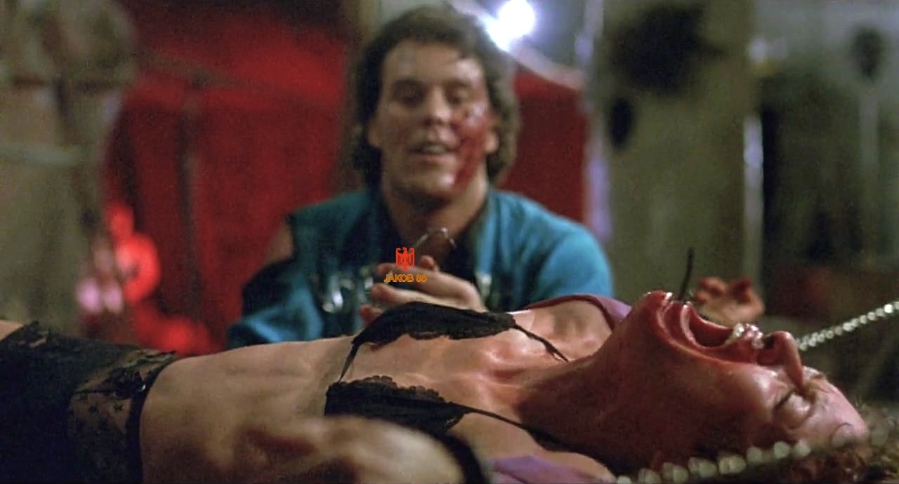 Season Hubley 4 - Vice Squad 1982
