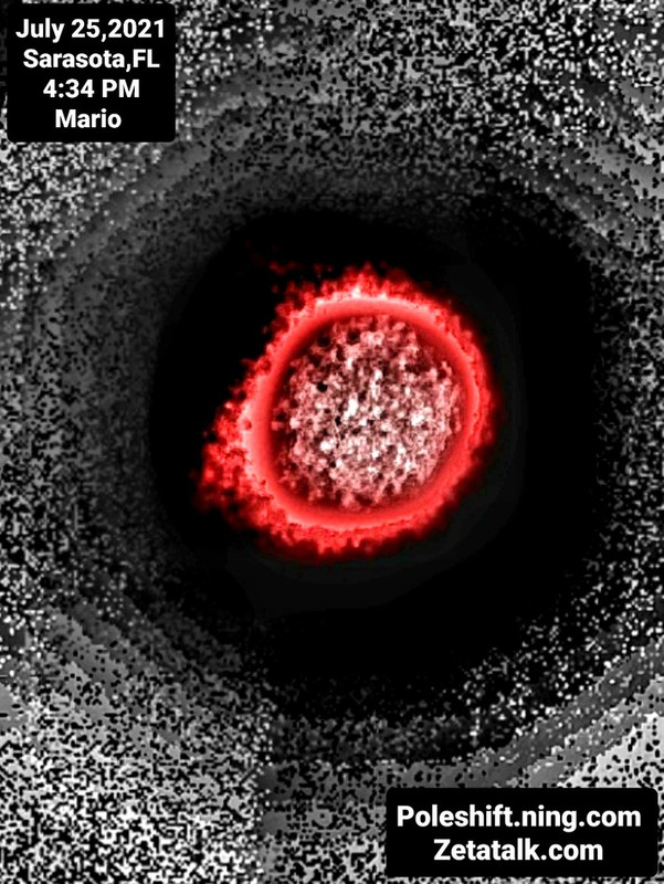 Screenshot_20210725-200455_Gallery