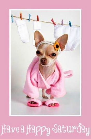 Saturday-Dog-Bathrobe