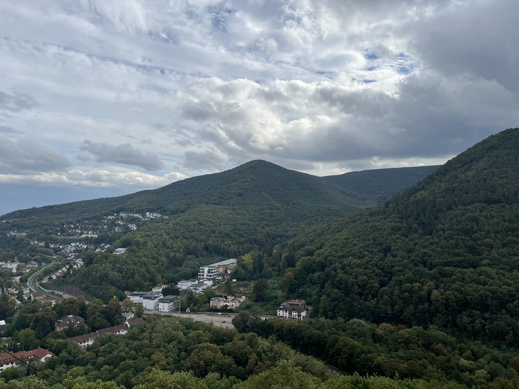 IMG_4478