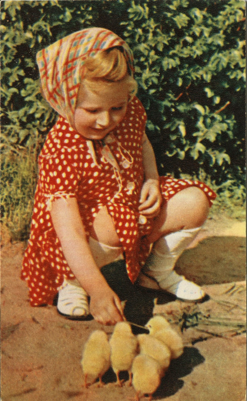 1969г.девочка с цыплятами
