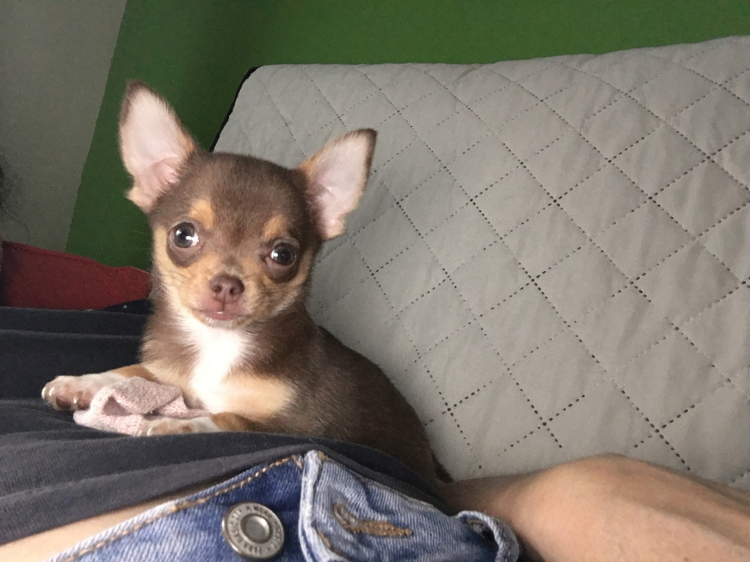 29C6472F-CBB6-41DC-A213-B6DECCF4EB53