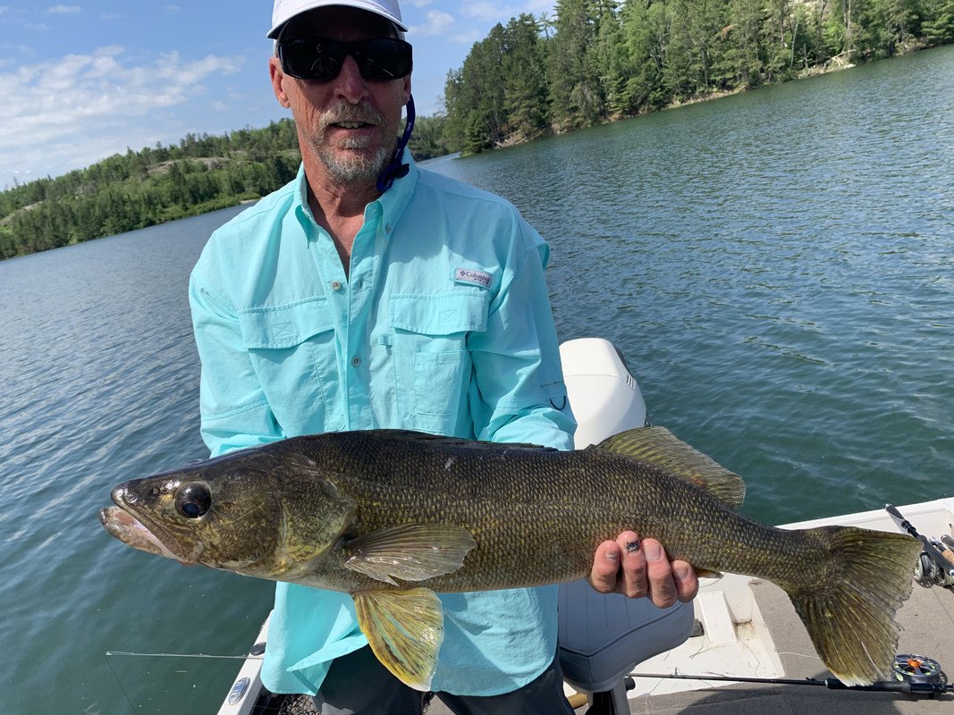 BL-30-inch-walleye.jpg