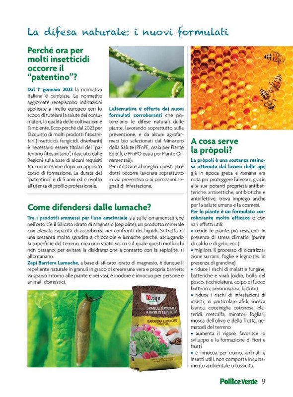 Pol Ver Lug 2023 (2)