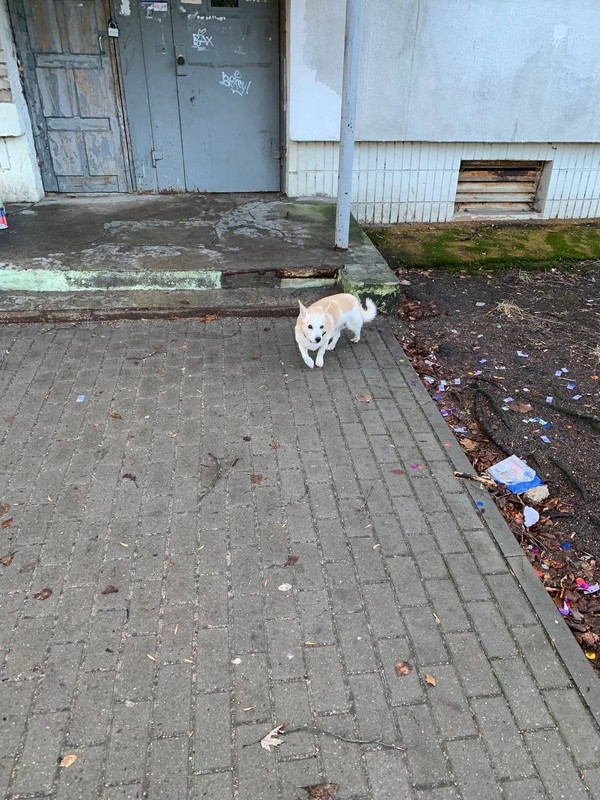 06951DBD-DB07-4033-9557-A83BD625D97A