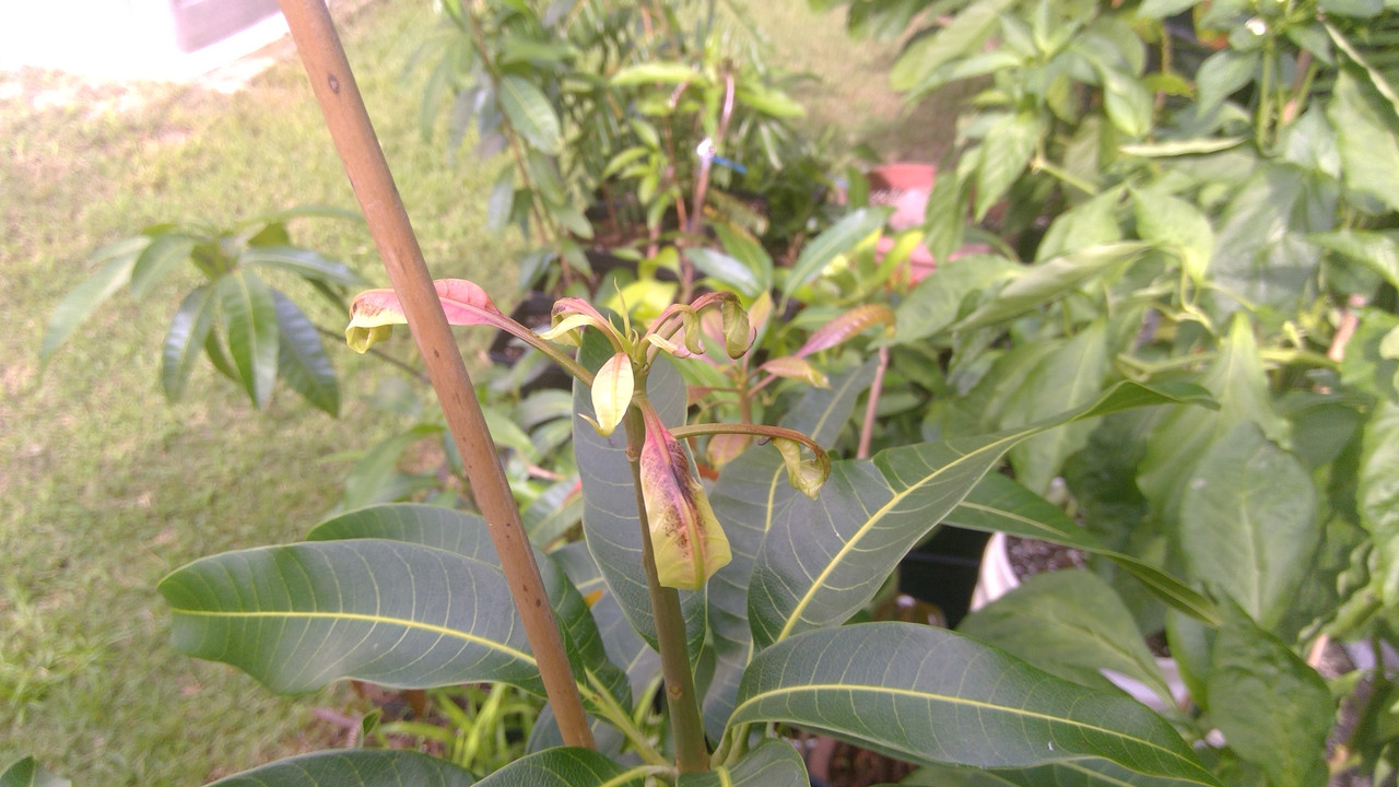 WIN_20190812_09_57_10_Pro