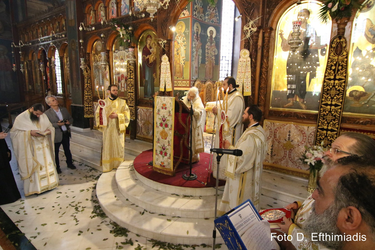 IMGL3654 (Αντιγραφή)