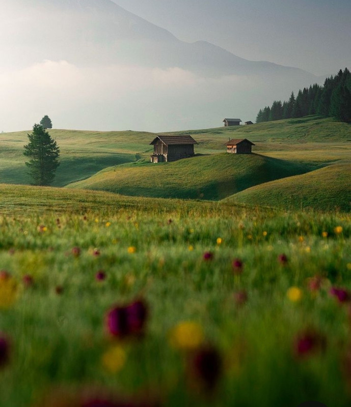 Screenshot_20240429_221049_Pinterest