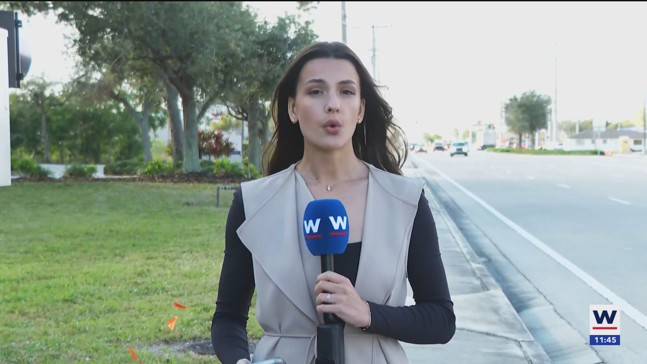 WINK NEWS at 1130am_20250302_16301700.ts_snapshot_16.10.016