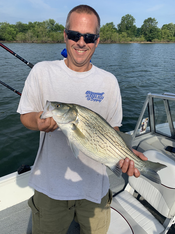 038F9B32-5ADE-4285-8C66-53DF57B1D31F