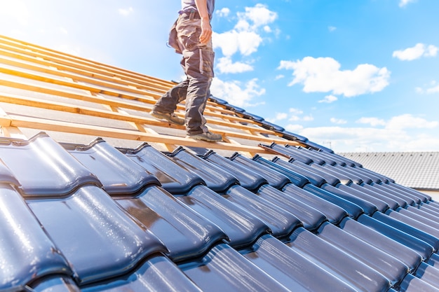 Roof Painting