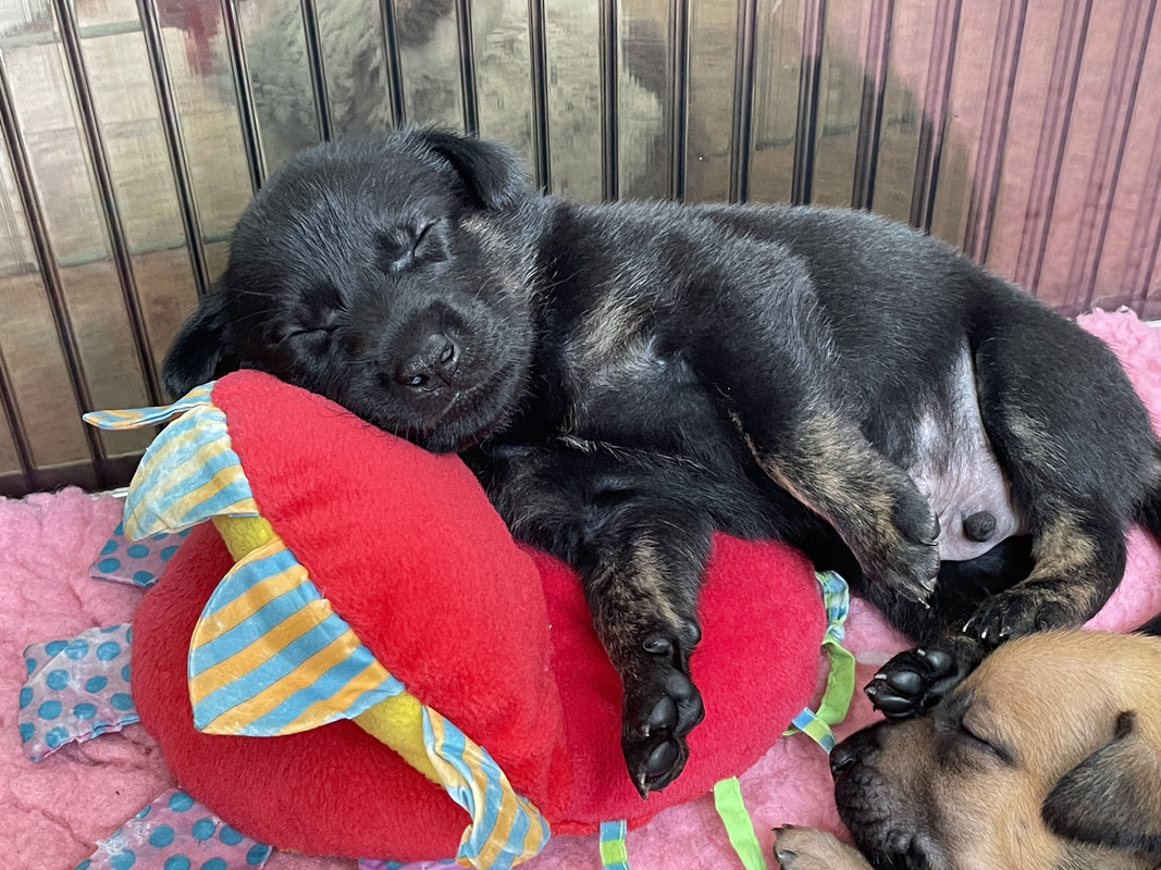 70E72AAF-4210-4310-ADF4-A4229153CD1D