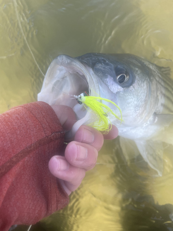 74C9AD10-52ED-4D9A-90BF-F7C2E68416C0