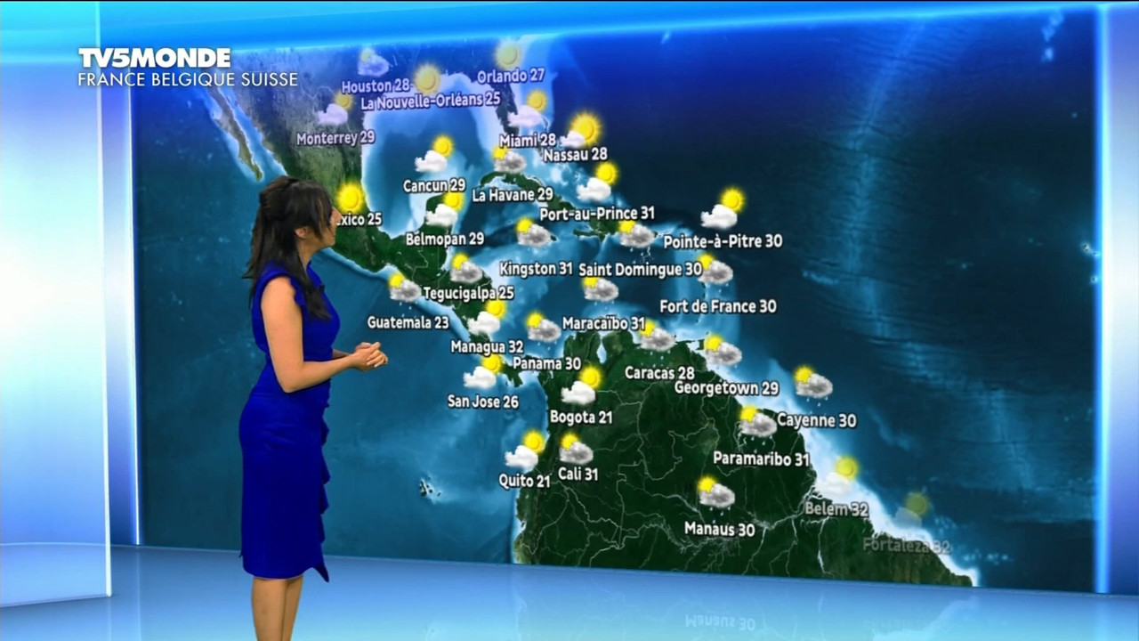 11.23 - 17.28.00 - Météo. Le bulletin météorologique international.ts_snapshot_08.52.830