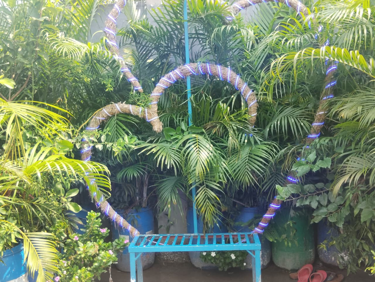 Water Park Bhagalpur Entry Fee