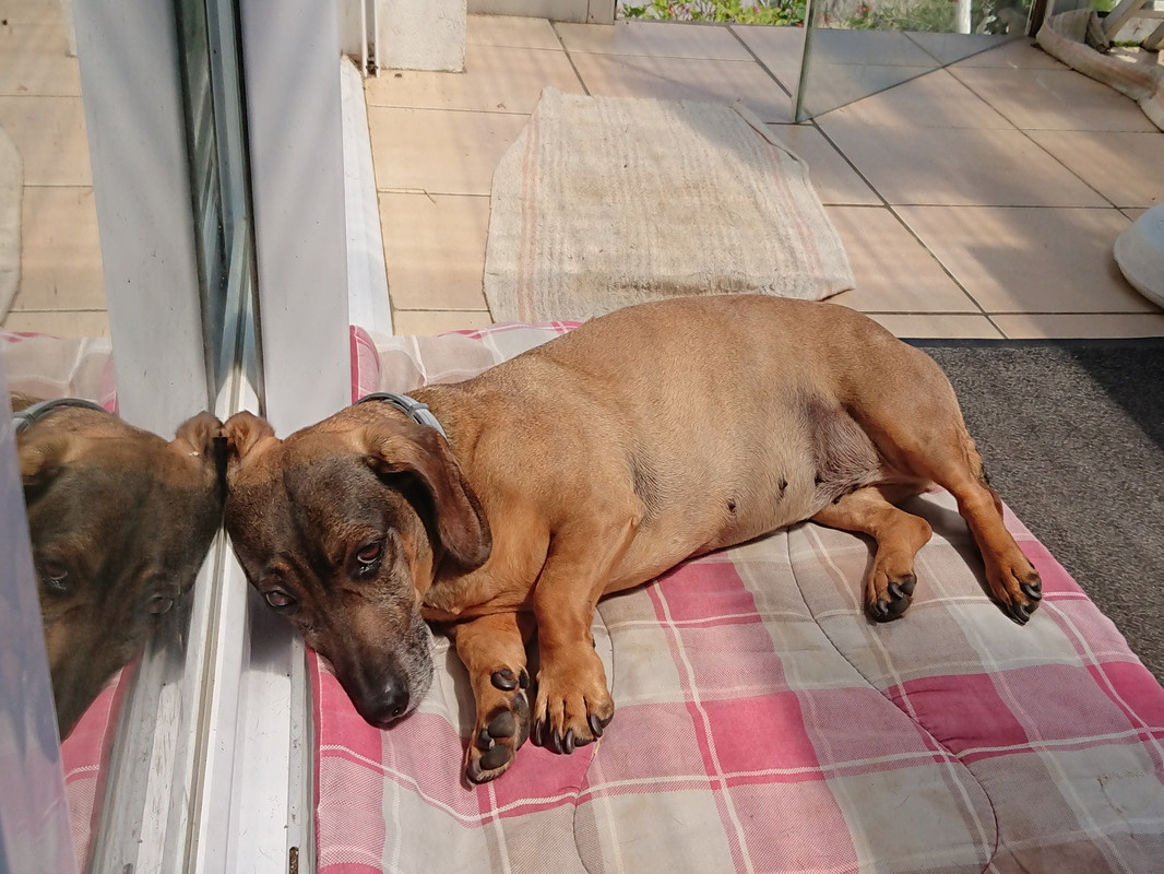 [Image: DSC-0626.jpg]