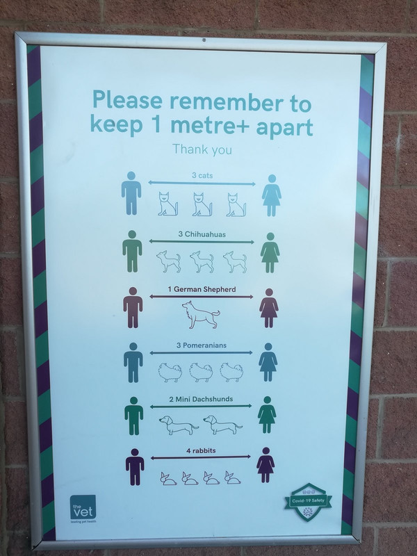 Kép