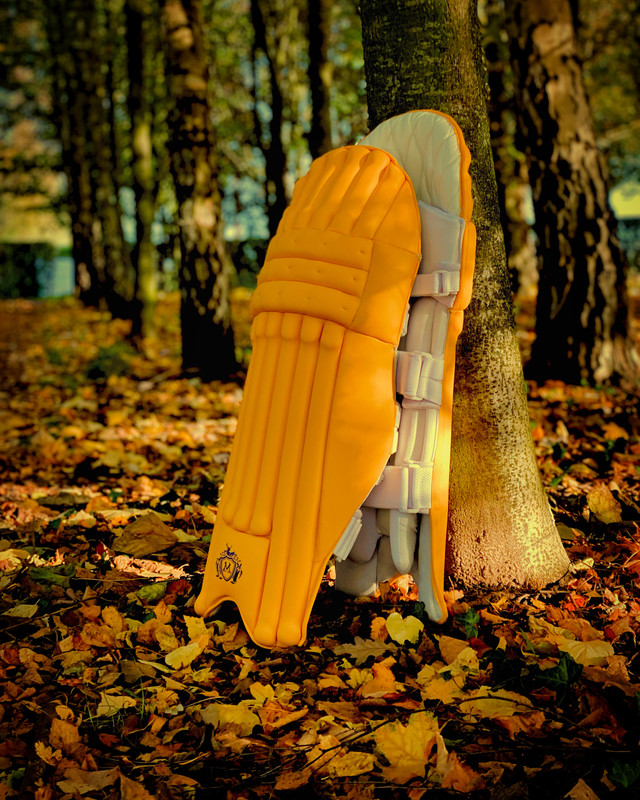 27F16EDB-C181-4C5B-86CE-07037AC67DC3