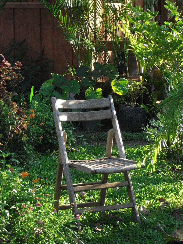 photo 23 2025 12 24 16 04 46