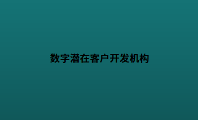 数字潜在客户开发机构