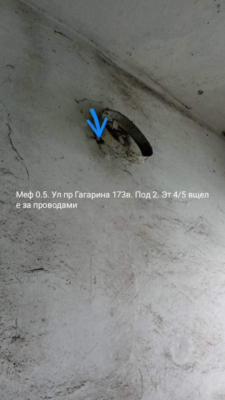IMG 20260128 083747