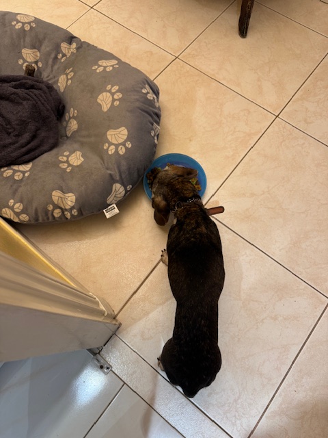 [Image: IMG-8837.jpg]