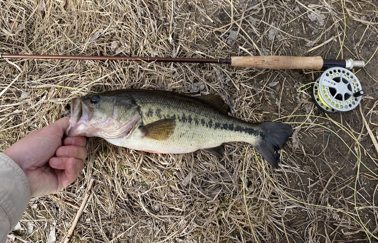 C7D78629-76CC-459A-9C19-D83D415D9B01