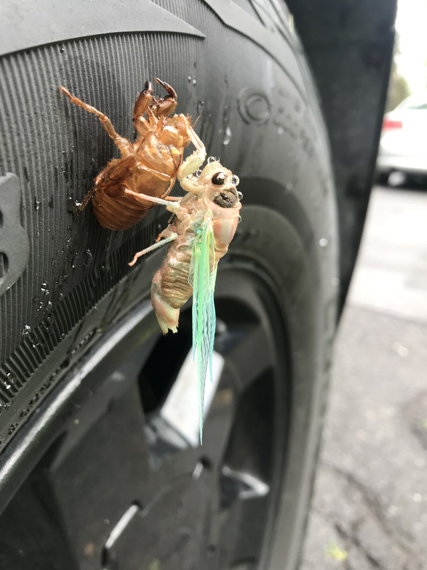 D5B9AC23-B993-4E15-B8A3-68D192A4CB9F