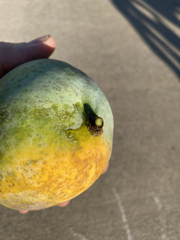 7678C55B-1C50-419A-B6D3-38B5BAFD1D44