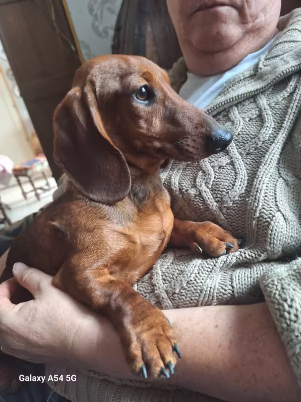 [Image: 20241111-143641.avif]